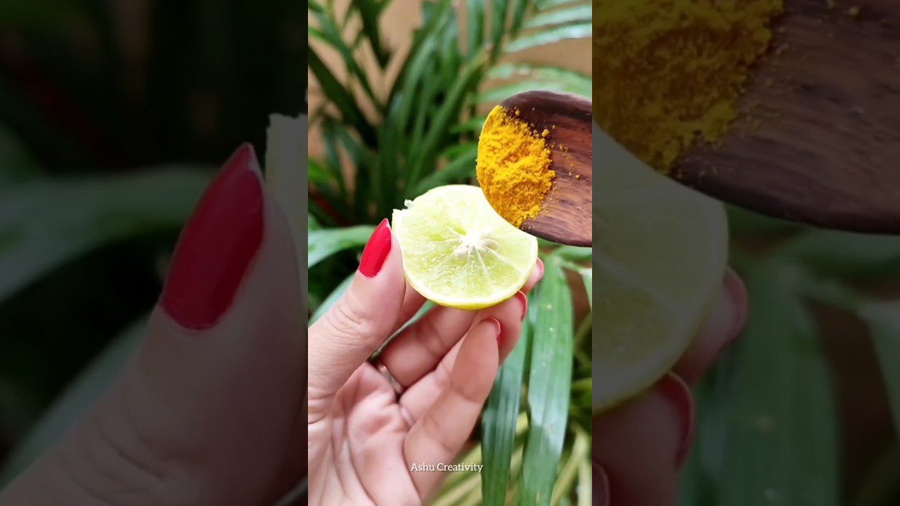 Rankoje laikoma perpjauta citrina, ant jos dedama mediniu šaukštu ciberžolės miltelių.