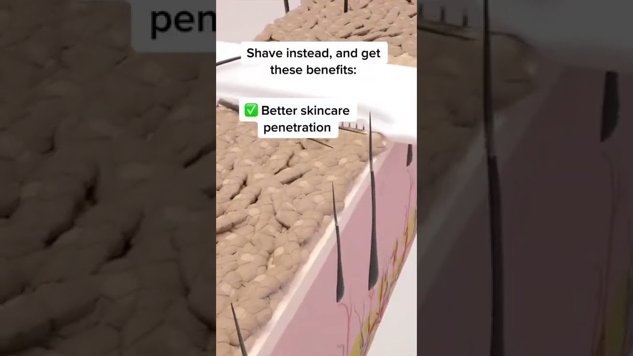 3D pjūvis rodomas odos sluoksniai su plaukais ir užrašu „Geriau odos priežiūros įsiskverbimas“.