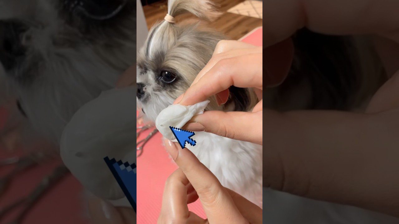 Kaip išvalyti šihcu akys