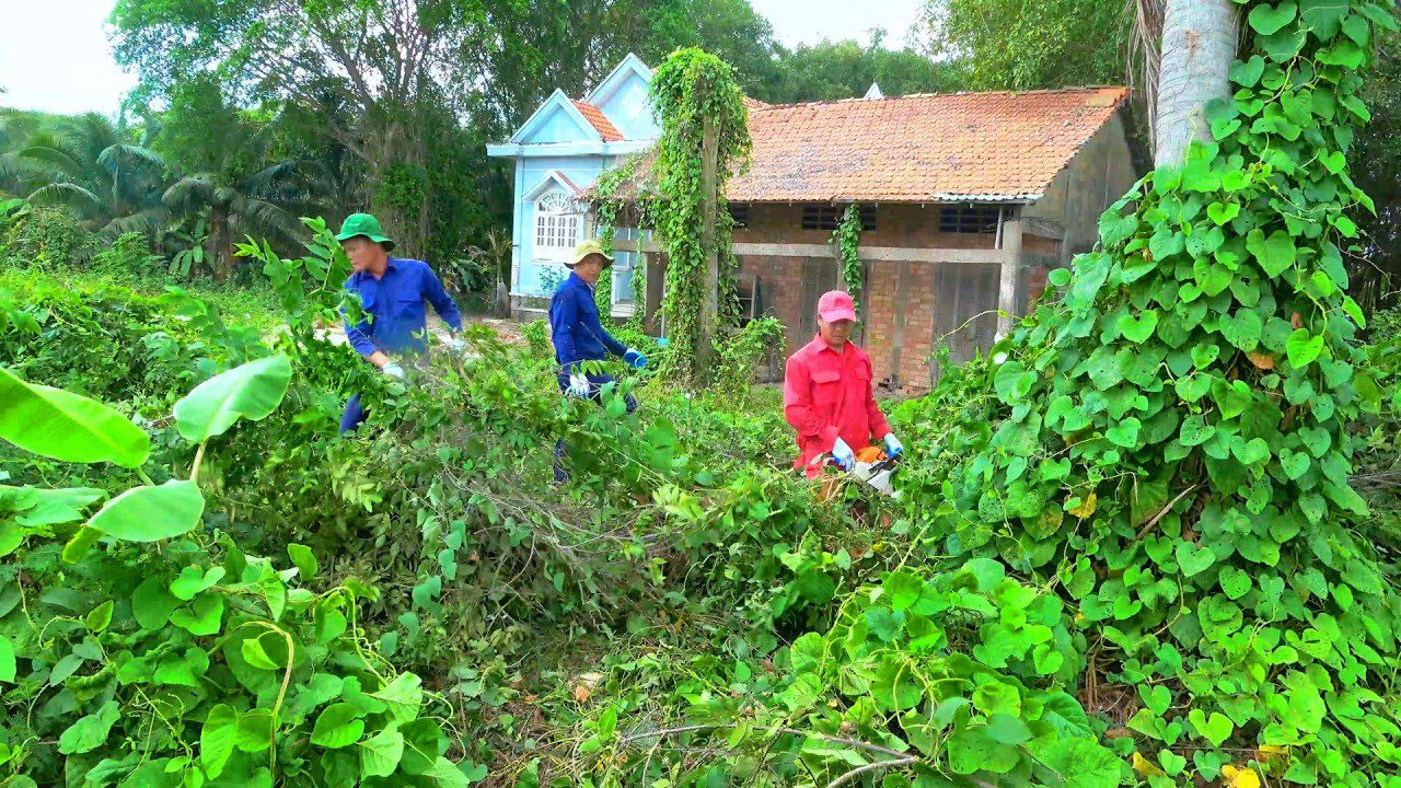 Tris darbininkus genomis kertantys krūmus prieš sodybą, apsaugoti skrybėlėmis ir pirštinėmis