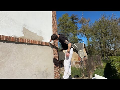 Vyras dažo namo fasadą, lipa ant kopėčių ir tepąja tinką