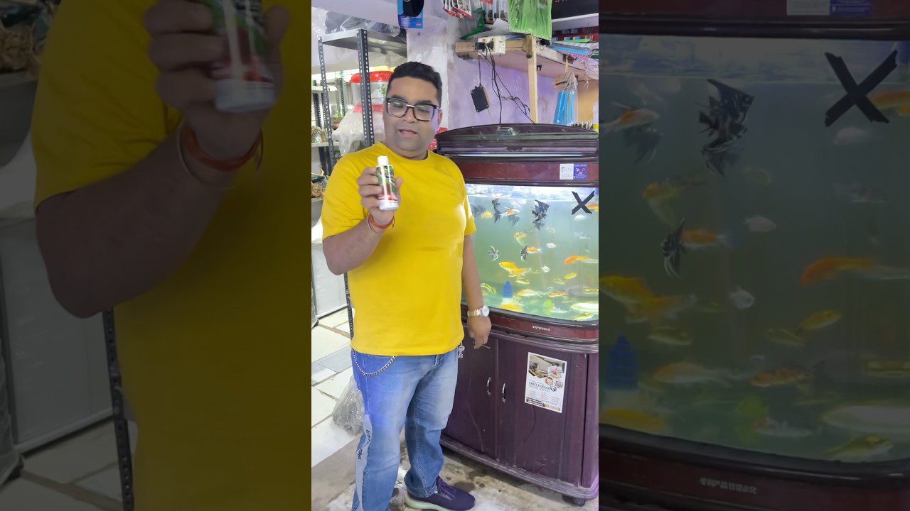 Vyras geltonais marškinėliais laiko akvariumo priežiūros buteliuką prie žuvų rezervuaro
