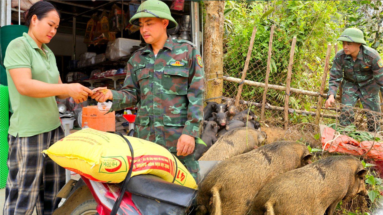 Karinis personalas perka kiaules iš moters, šalia matosi maišas pašarų ir paršeliai