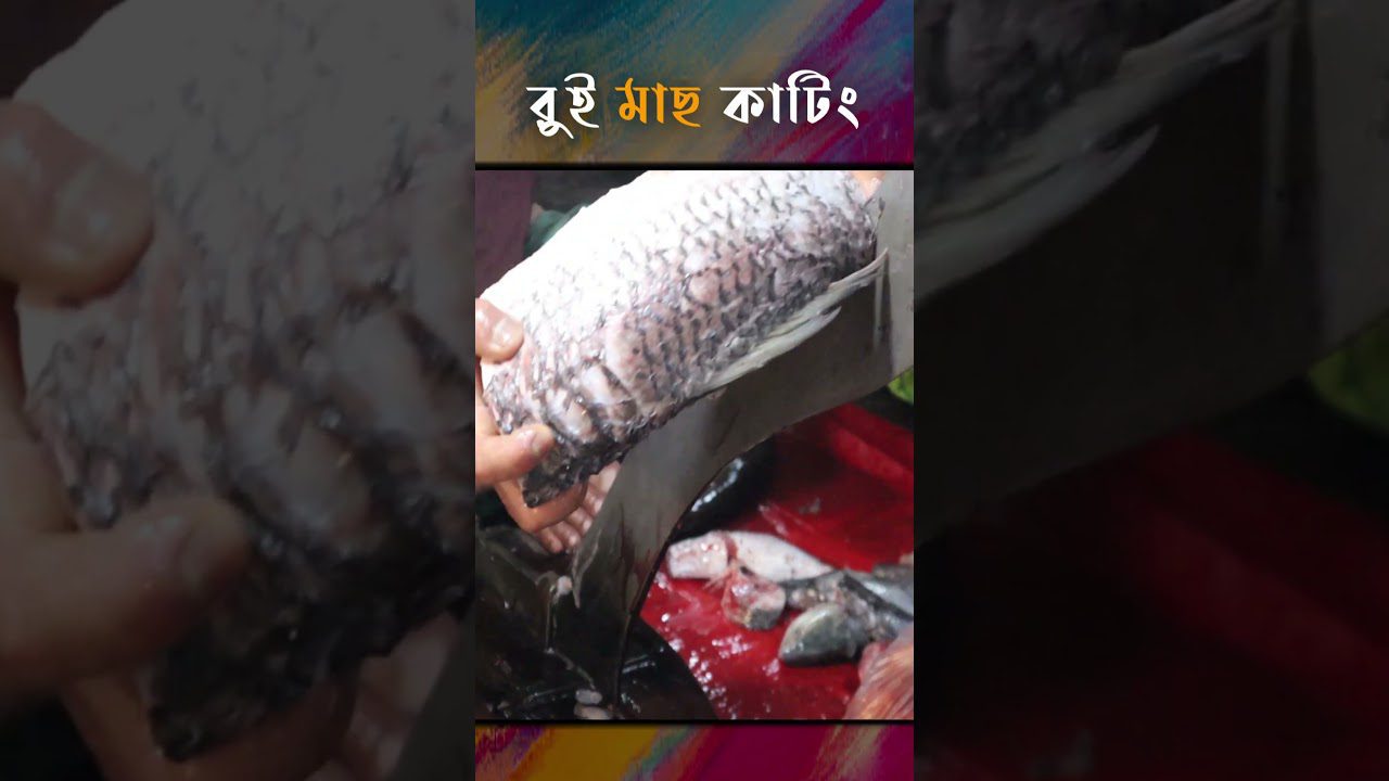 Rankose laikomas nuskustas žuvies filė, matomas peilis ir žuvies galvos gabalai ant raudono paviršiaus