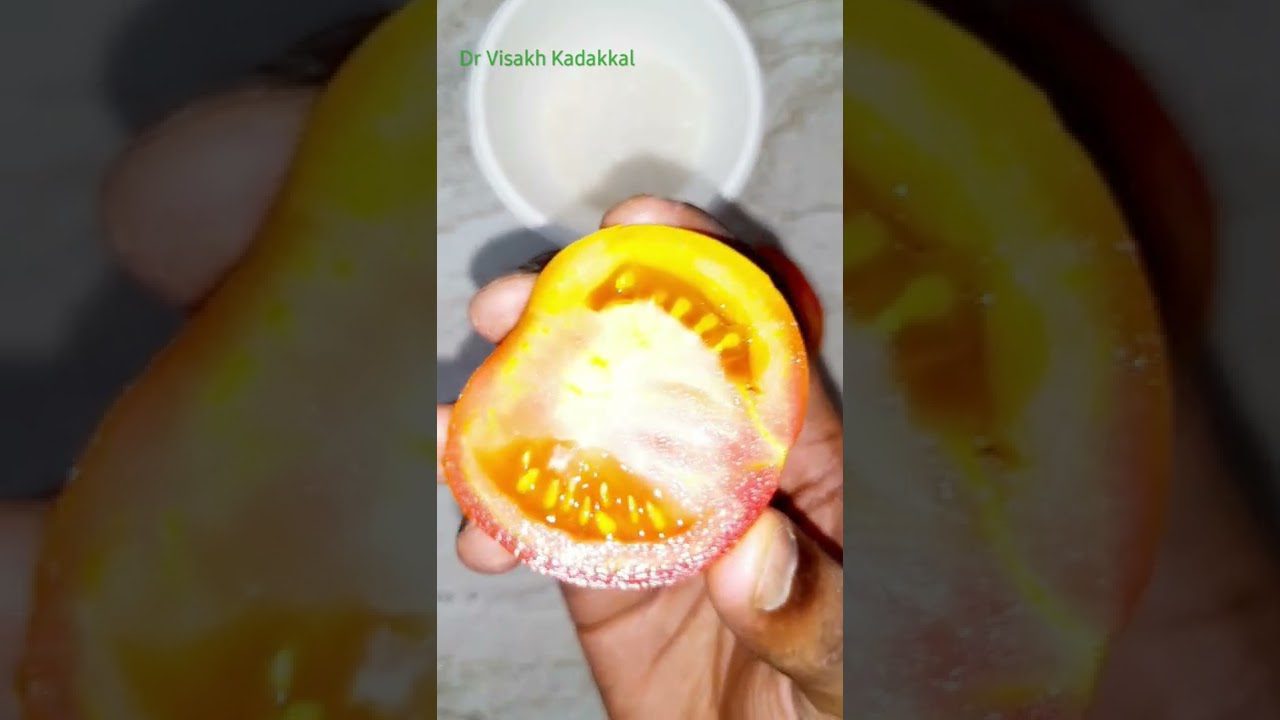 Rankos laikomas perpjautas prinokęs pomidoras su matomais sėklų skyreliais ir tekstu.