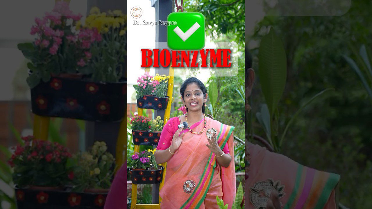 Moteris saree prie kabamų gėlių vazonų kalba apie bioenzimą, užraše „BIOENZYME“