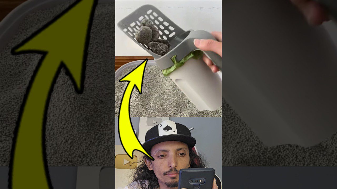 Rankoje laikoma kačių kraiko kastuvas su maišeliu, pilnai užpildytas suapvalintų gabalų.