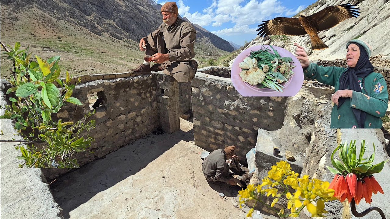 Senas vyras kalnuotoje vietovėje prie akmeninės siena, moteris ženklais rodo laukinius augalus ir grybų dubenį.