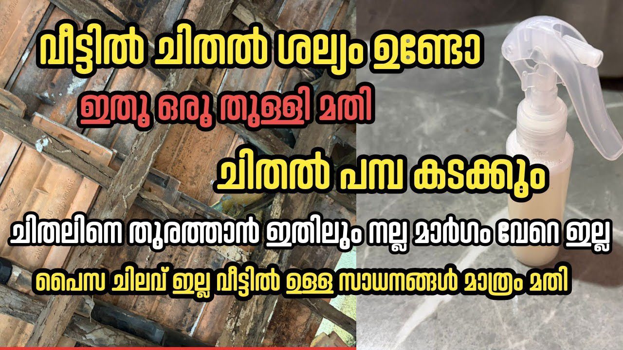 Senas stogo gegnių ir plytelių vaizdas šalia purškalo buteliuko tekstu malajališkai.