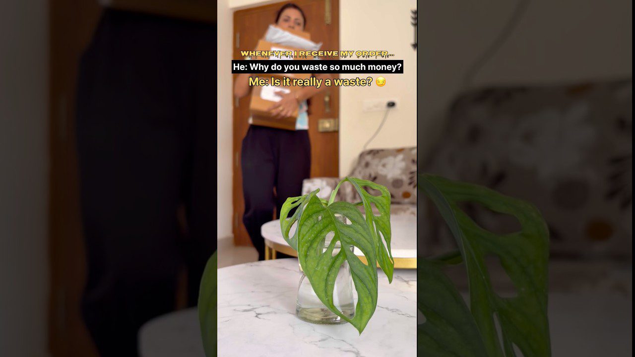 Vyras įėjęs su dėžėmis fone, priešakyje vaza su Monstera adansonii lapais ir tekstu.