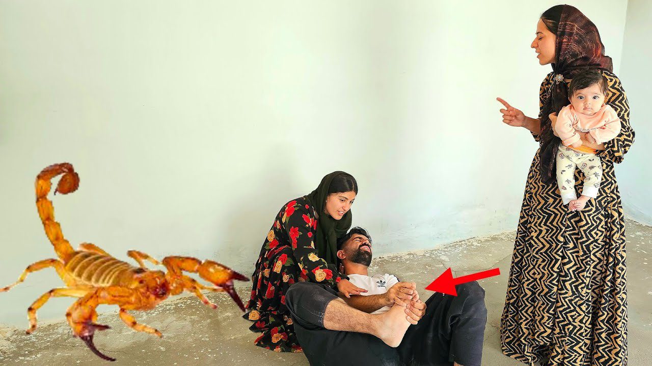 Vali Išvalo Savo Mažą Namas Su Naujaja Meile. Kol Trauminis Įvykis Džiugina Roghayeh, Jo Pirmąją Žmoną😱😰